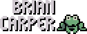 Brian Carper